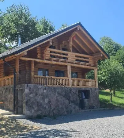 Delut Borsa (Maramures)